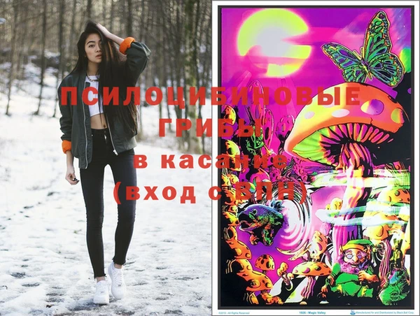 спиды Пестово