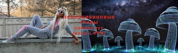 сатива Елизово